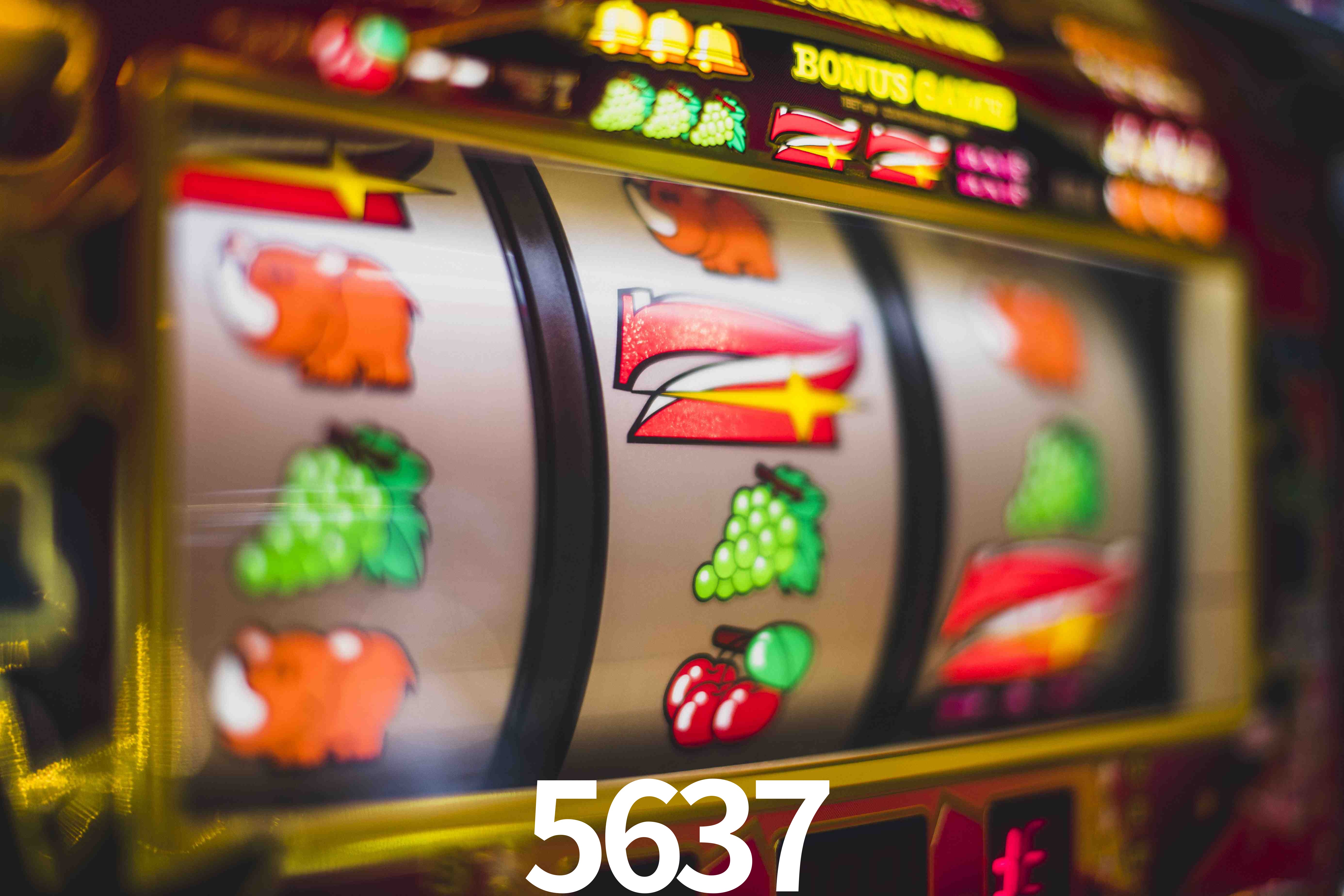 Sports Statistics 5637